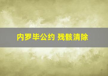 内罗毕公约 残骸清除